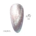 CAT114