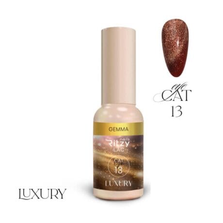 CAT13